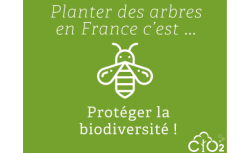 Capter le CO2 émis par votre serveur en plantant 18 arbres - OVHcloud Marketplace