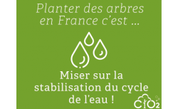 Capter le CO2 émis par votre serveur en plantant 18 arbres - OVHcloud Marketplace