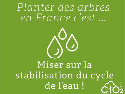 Capter le CO2 émis par votre serveur en plantant 18 arbres - OVHcloud Marketplace