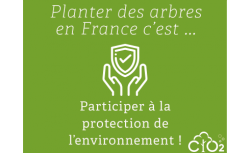 Capter le CO2 émis par votre serveur en plantant 18 arbres - OVHcloud Marketplace