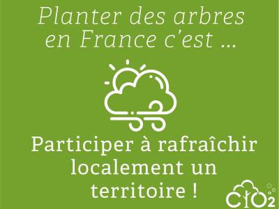 Capter le CO2 émis par votre serveur en plantant 18 arbres - OVHcloud Marketplace