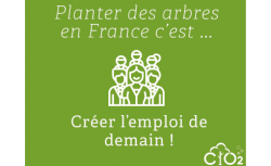 Capter le CO2 émis par votre serveur en plantant 18 arbres - OVHcloud Marketplace