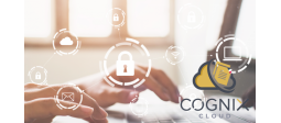 Solution sécurisée stockage/partage Cloud - Cognix - OVHcloud Marketplace