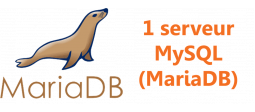 Serveur Base de données MariaDB - OVHcloud Marketplace