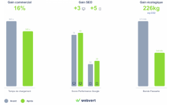 Optimisation et décarbonation de site web - OVHcloud Marketplace